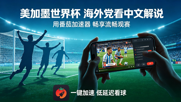 在马来西亚看央视频世界杯当前IP受限制教程